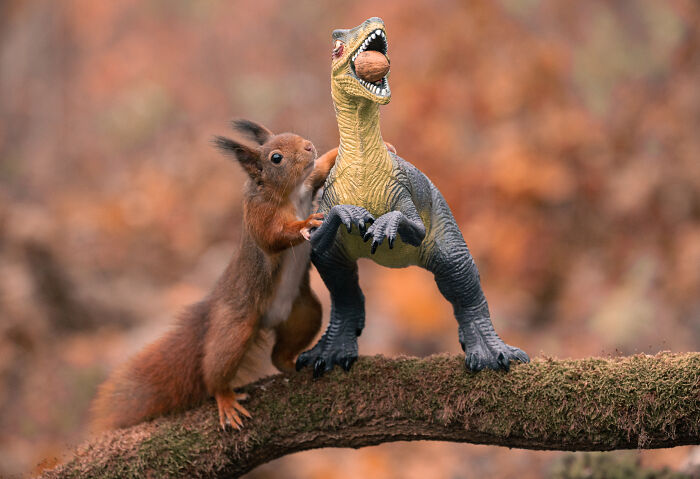 Squirrel Photographer Pays A Tribute To Steven Spielberg's Jurrasic Park