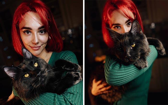 Meet Vincent, A Fluffy Maine Coon Cat That Looks Like A Black Panther And Acts Like A Dog Meet Vincent, A Fluffy Maine Coon Cat That Looks Like A Black Panther And Acts Like A Dog