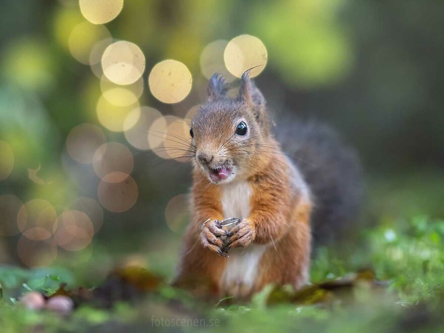 My Friends Say I'm Acting Peculiarly