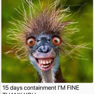 michael_smith_2 avatar