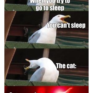 CRAZYDEATHCHEESEPERSON