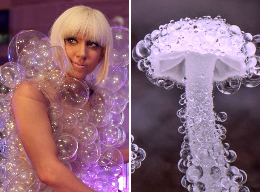 Someone Is Comparing Lady Gaga To Mushrooms And The Result Is A Lot Of Fun (21 Pics)