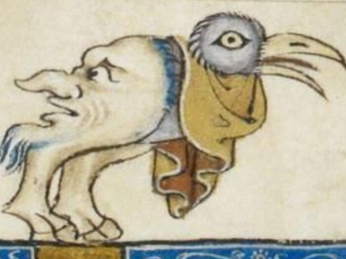 Why Are They So Obsessed With Faces On Butts?