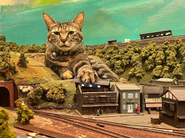 Stray Cats Saved A Diorama Restaurant During The Pandemic By Simply Lounging On The Miniature Models