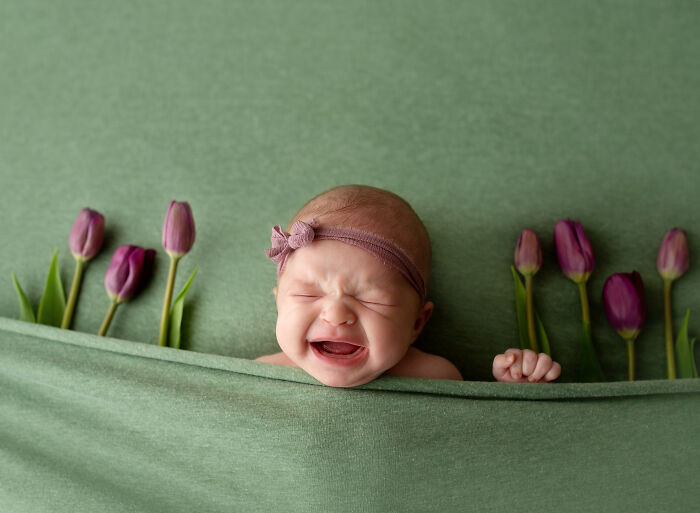 These Newborns Are Sassy And Unimpressed (9 Pics)