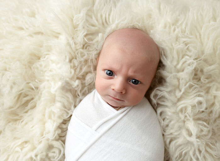 These Newborns Are Sassy And Unimpressed (9 Pics)
