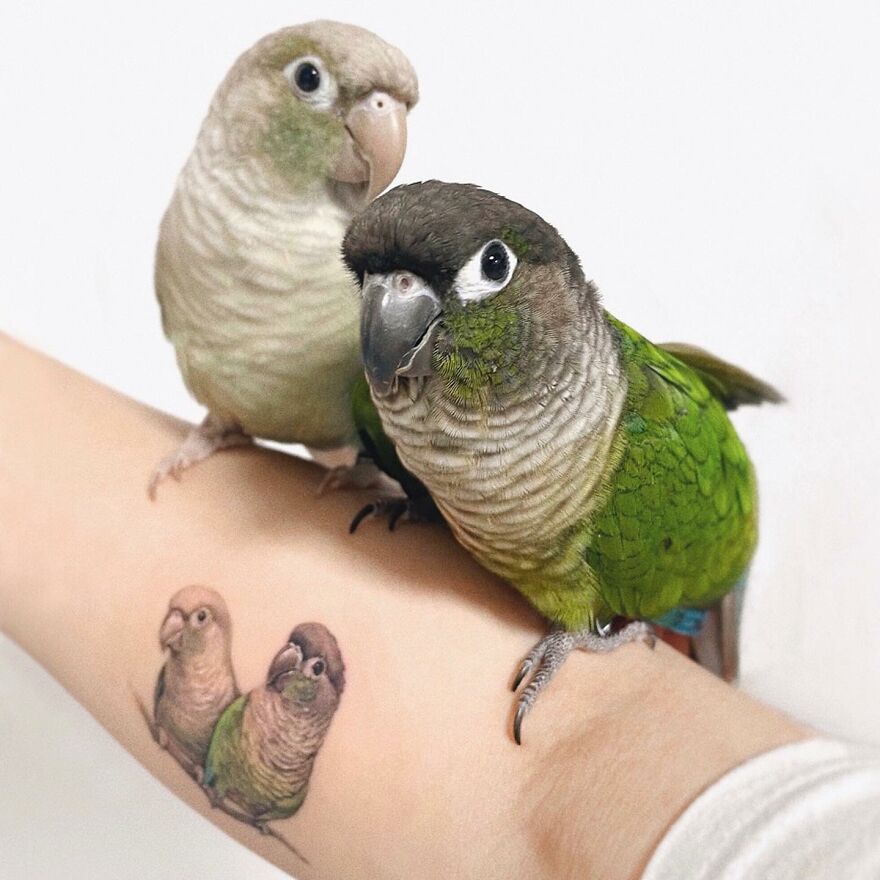 Two birds perched on an arm with a realistic painting-like tattoo of the same birds.