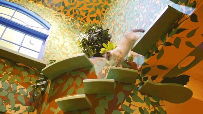 This Man Designed A Purrfect House For His 20-Plus Rescue Cats This Man Designed A Purrfect House For His 20-Plus Rescue Cats
