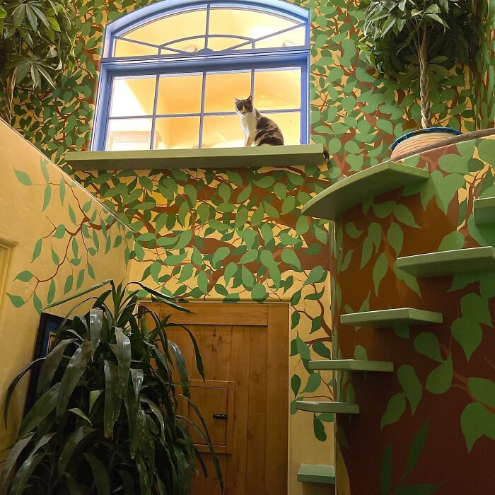This Man Designed A Purrfect House For His 20-Plus Rescue Cats This Man Designed A Purrfect House For His 20-Plus Rescue Cats