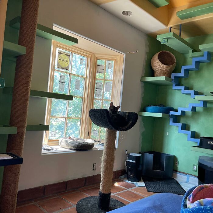 This Man Designed A Purrfect House For His 20-Plus Rescue Cats This Man Designed A Purrfect House For His 20-Plus Rescue Cats