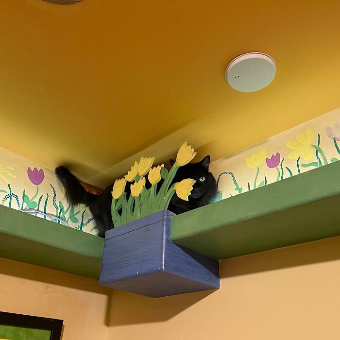 This Man Designed A Purrfect House For His 20-Plus Rescue Cats This Man Designed A Purrfect House For His 20-Plus Rescue Cats