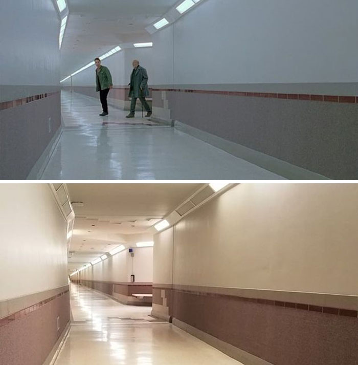 Halloween 6: The Curse Of Michael Myers