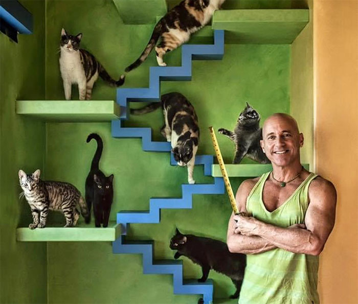 This Man Designed A Purrfect House For His 20-Plus Rescue Cats