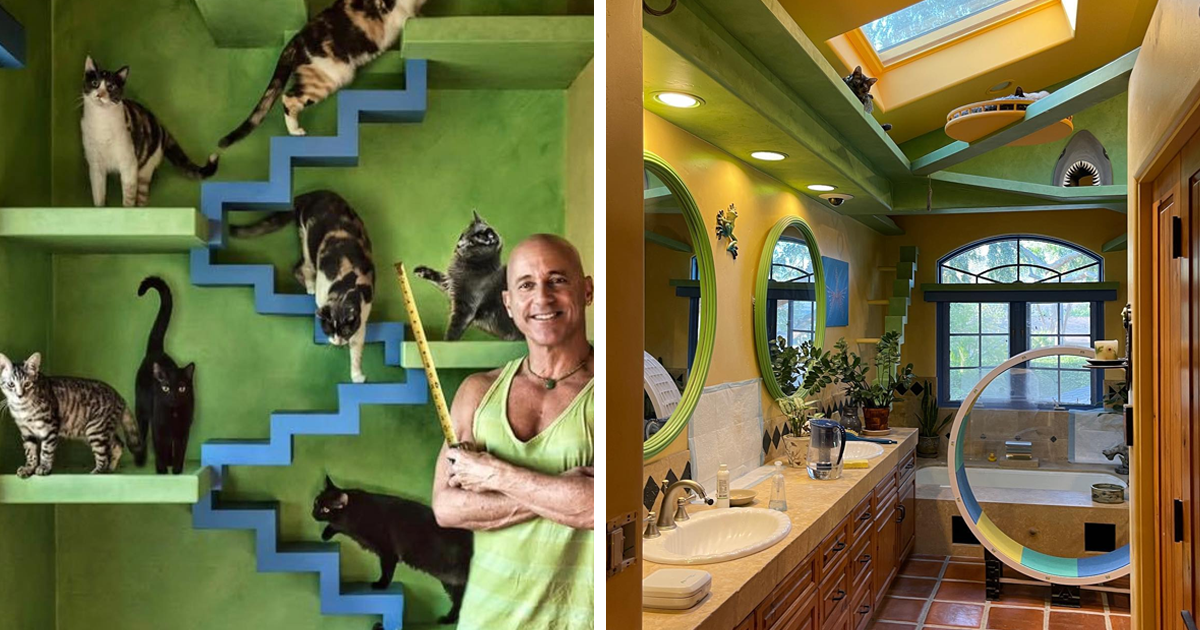 This Man Designs A Purrfect House For His 20-Plus Rescue Cats - Vimarsana News