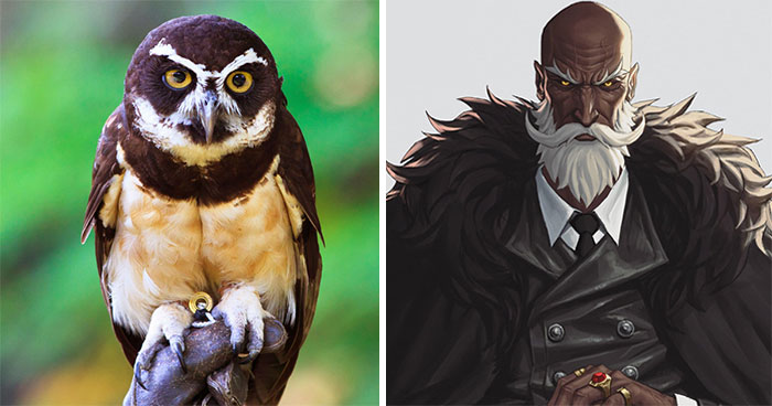 Korean Artist Turns Animals Into Original Characters That Look Like They Belong In An Anime (17 New Pics)