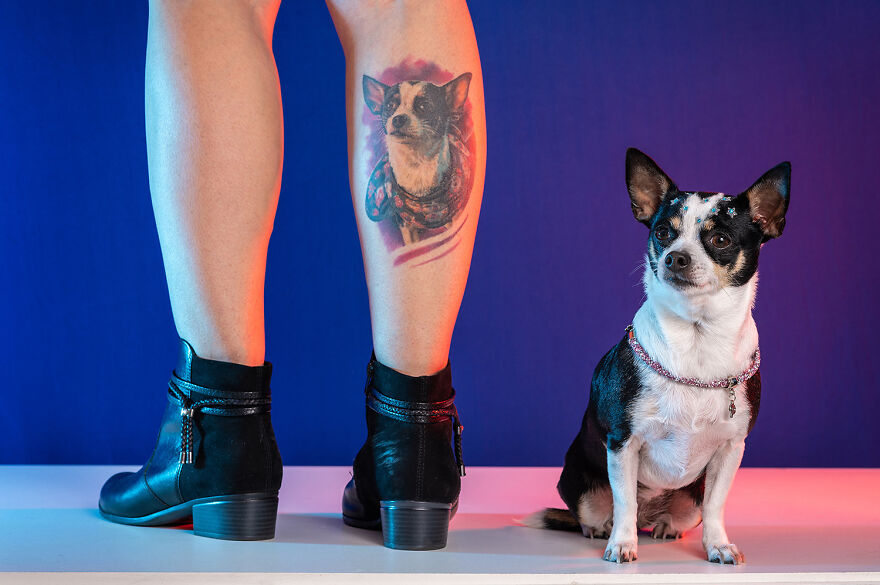 Chihuahua Annie And Tattoo