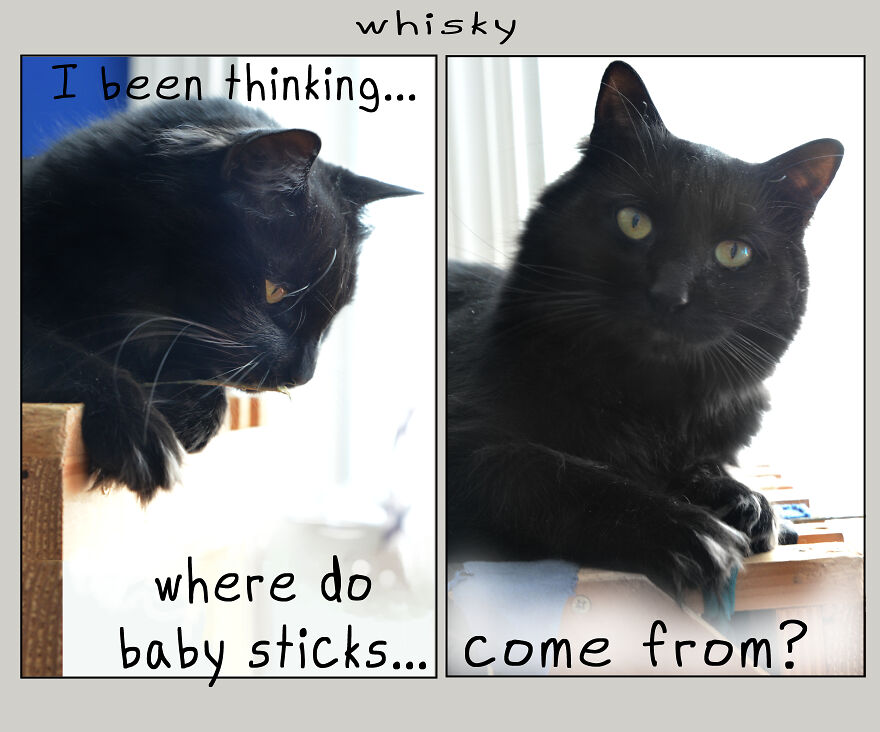 I Made Over 300 Comics This Year And Posted Every Single One, Here Are Some Random Samples For Some Laughs I Made Over 300 Comics This Year And Posted Every Single One, Here Are Some Random Samples For Some Laughs