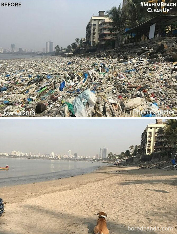 India Is Waking Up, The Mahimbeachcleanup Has Cleared More Than 700 Tons Of Plastic From Our Beach