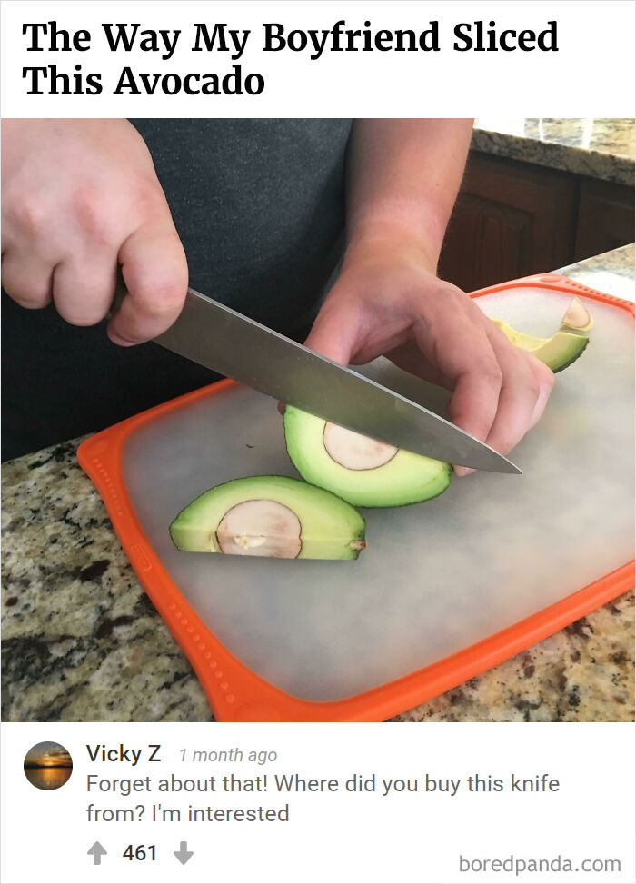 Bored Panda's Hall Of Fame