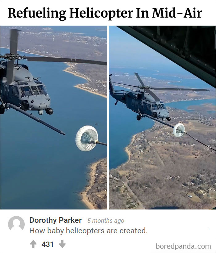 Bored Panda's Hall Of Fame