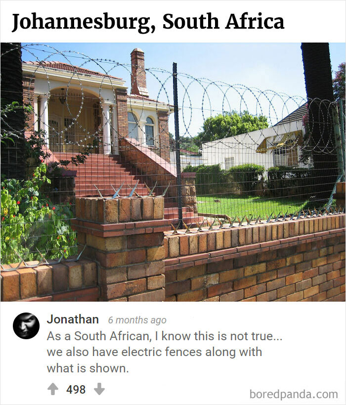 Bored Panda's Hall Of Fame