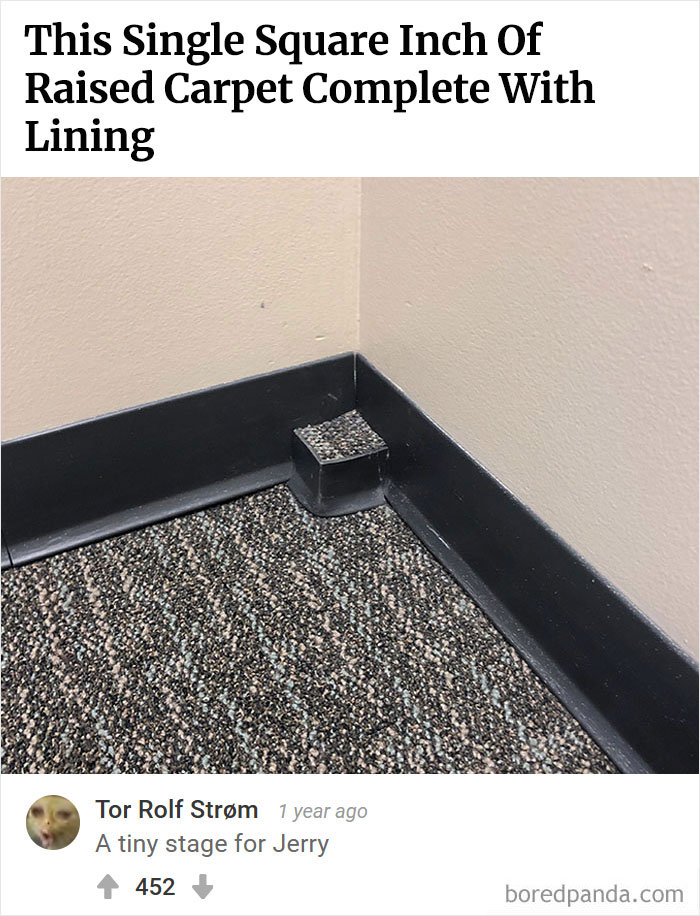 Bored Panda's Hall Of Fame