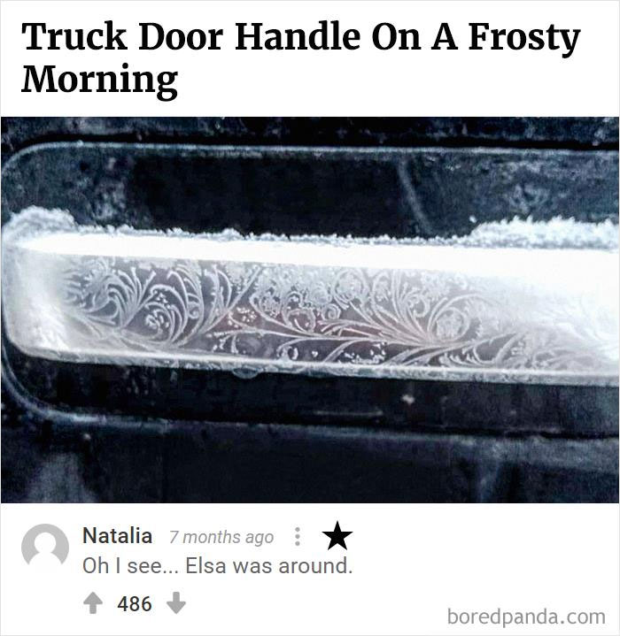 Bored Panda's Hall Of Fame