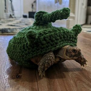 desmidt-wouter avatar