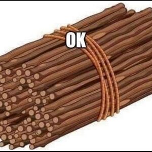 ashleyminniear avatar