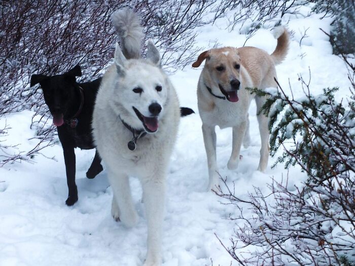Nica, Jordi, And Lexi Wearing Her Heart On Her Head.
