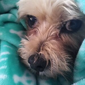 mariannegrochowski avatar