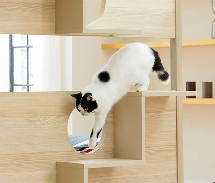 Unusual Furniture: This Interior Company Combined A Bed With A Cat Tower Unusual Furniture: This Interior Company Combined A Bed With A Cat Tower