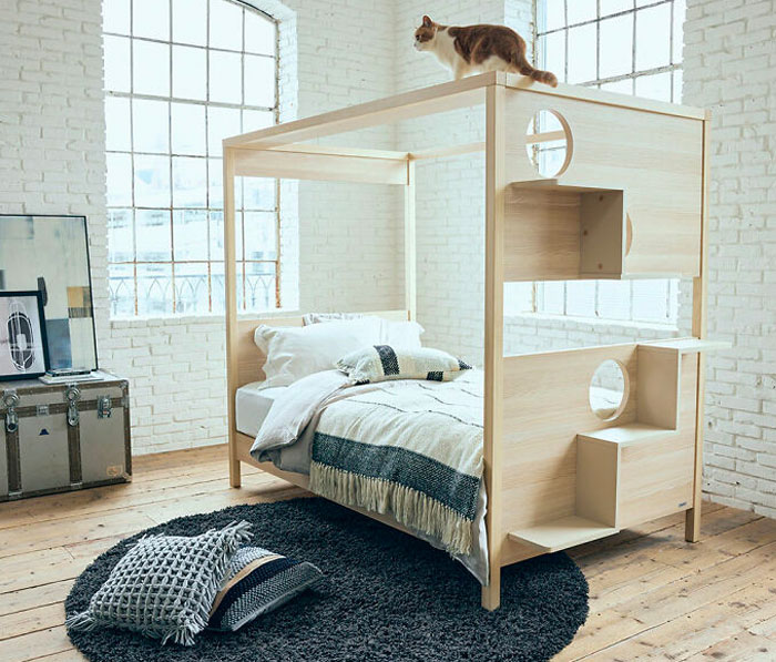 Unusual Furniture: This Interior Company Combined A Bed With A Cat Tower Unusual Furniture: This Interior Company Combined A Bed With A Cat Tower