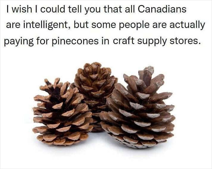 Canada-Memes-2022