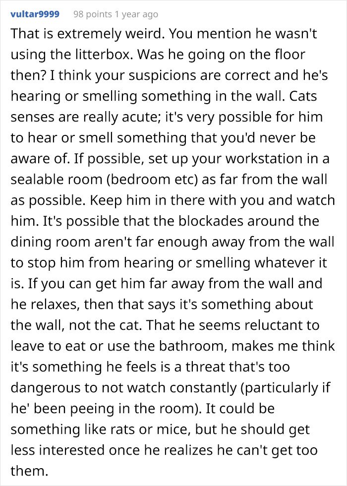 Guy Wonders What's Wrong With His Cat Who's Obsessed With A Single Wall In The House, Investigation Leads To Discovery Of A Hidden Basement