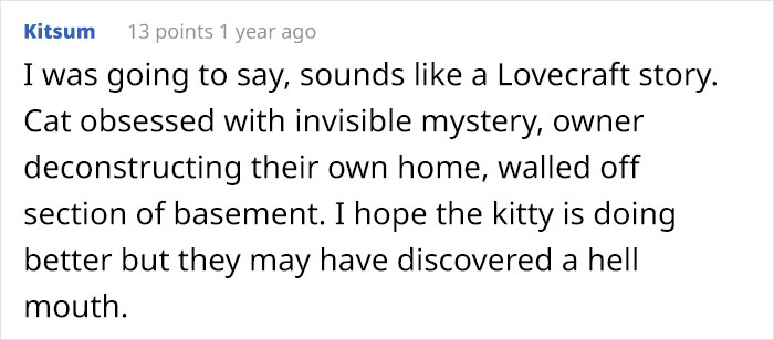Guy Wonders What's Wrong With His Cat Who's Obsessed With A Single Wall In The House, Investigation Leads To Discovery Of A Hidden Basement