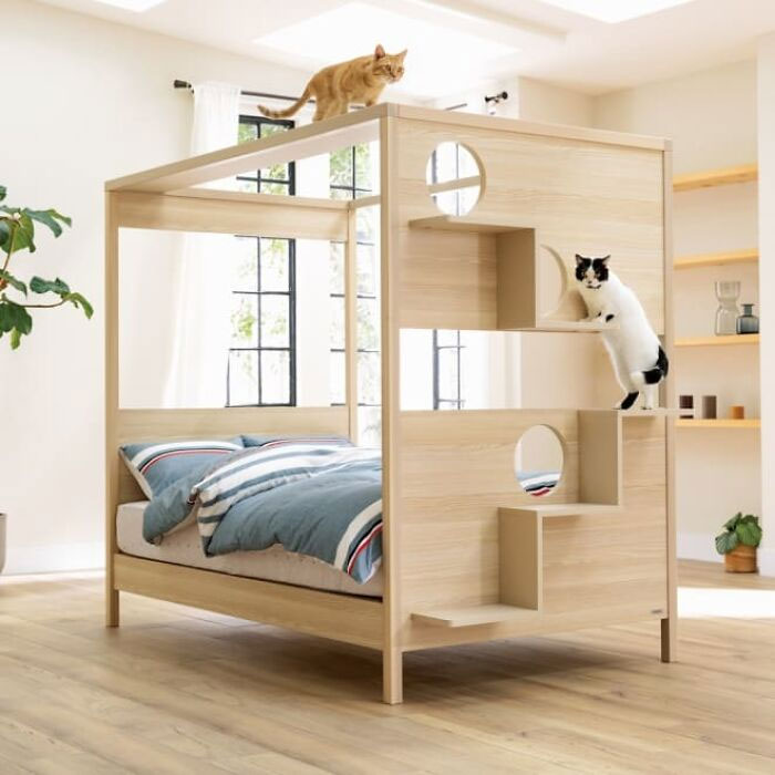Unusual Furniture: This Interior Company Combined A Bed With A Cat Tower