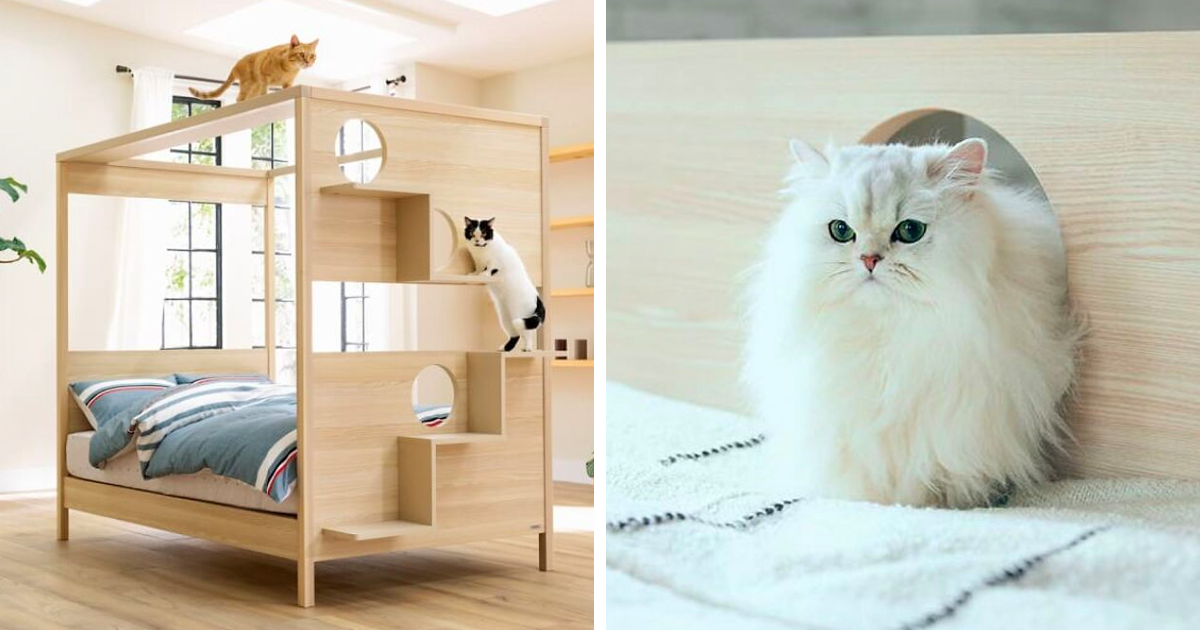 A Bed With Cat Tower, Can Cats Climb Bunk Beds