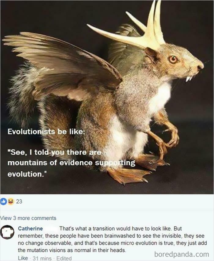 The Lack Of Squirruckalopes Proves There Are No Transitional Species