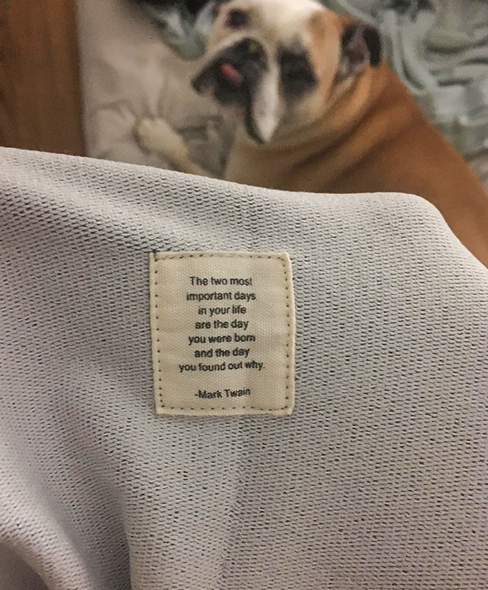 Just Noticed This Nice Quote Patched Inside The Sleeve Of My Hoodie