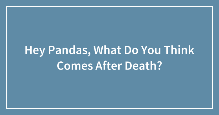 Hey Pandas, What Do You Think Comes After Death? (Closed)