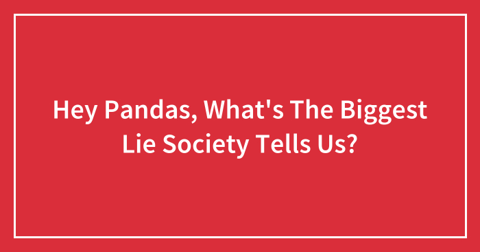 Hey Pandas, What’s The Biggest Lie Society Tells Us? (Closed)