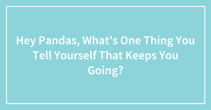 Hey Pandas, What’s One Thing You Tell Yourself That Keeps You Going? (Closed)