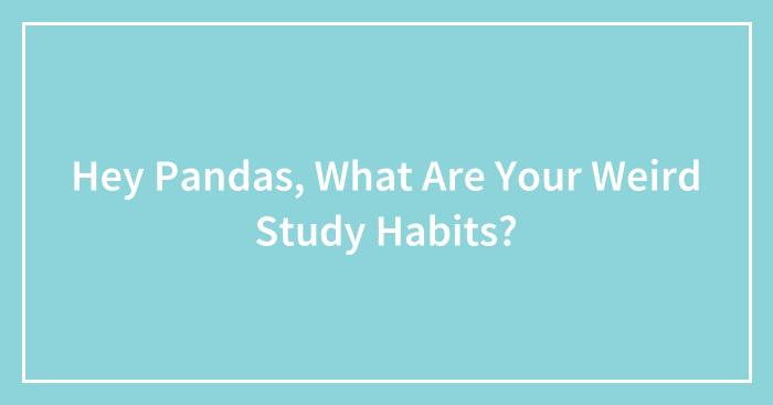 Hey Pandas, What Are Your Weird Study Habits? (Closed)