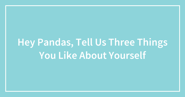 Hey Pandas, Tell Us Three Things You Like About Yourself (Closed)