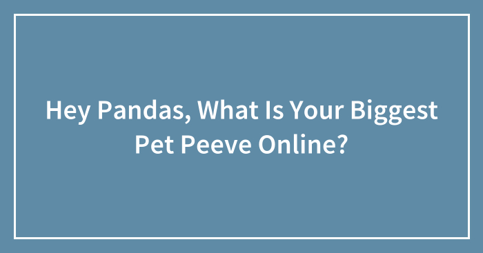 Hey Pandas, What Is Your Biggest Pet Peeve Online? (Closed)