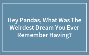 Hey Pandas, What Was The Weirdest Dream You Ever Remember Having?