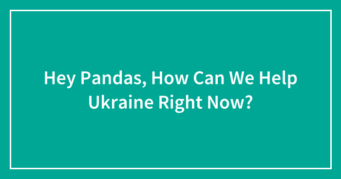 Hey Pandas, How Can We Help Ukraine Right Now? (Closed)