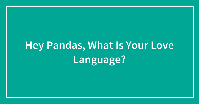 Hey Pandas, What Is Your Love Language? (Closed)