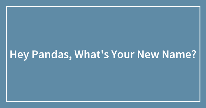 Hey Pandas, What’s Your New Name? (Closed)